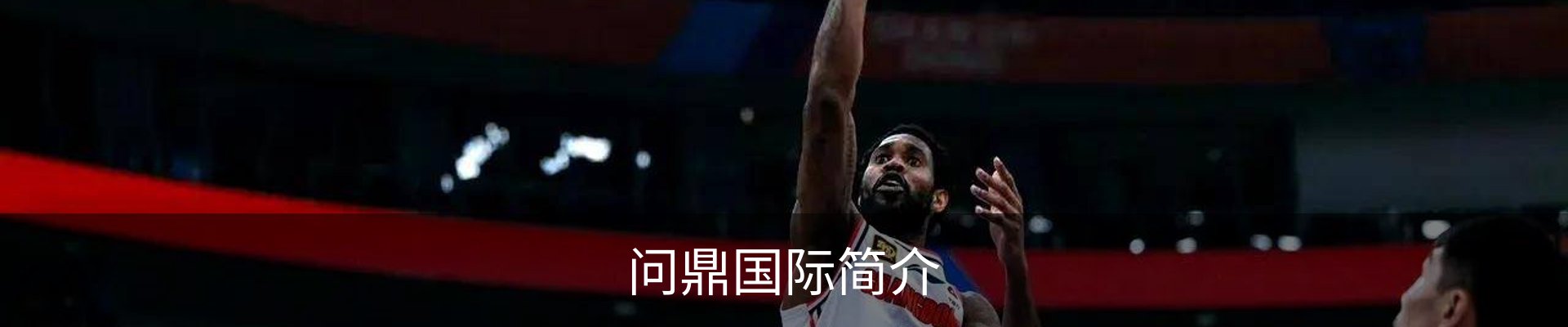 问鼎国际简介